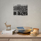 Black & White Rustic Vine Photography Poster — Rolled Wall Art