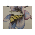 Bee in Blue Flower Poster — Rolled Botanical Art Print
