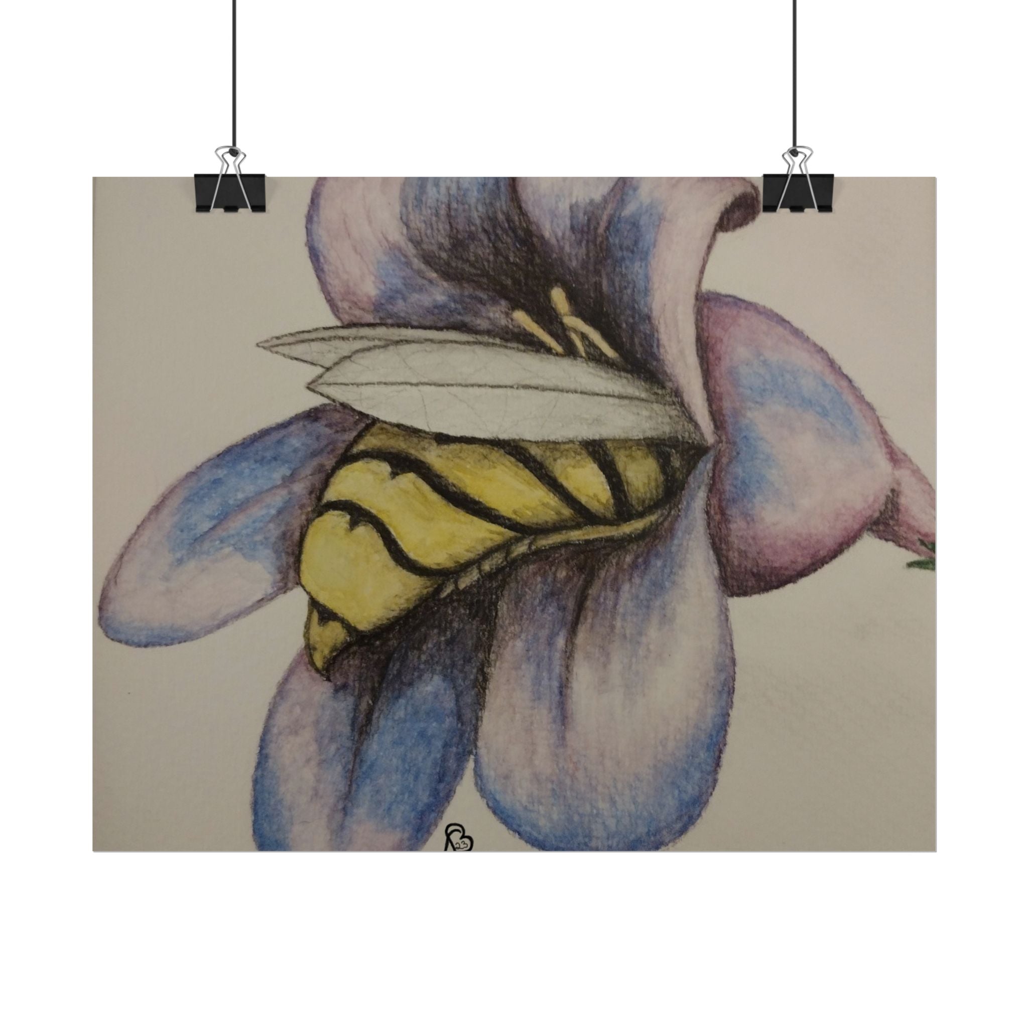 Bee in Blue Flower Poster — Rolled Botanical Art Print
