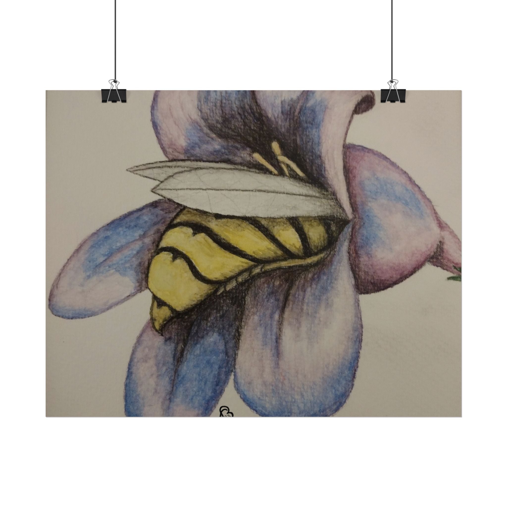 Bee in Blue Flower Poster — Rolled Botanical Art Print