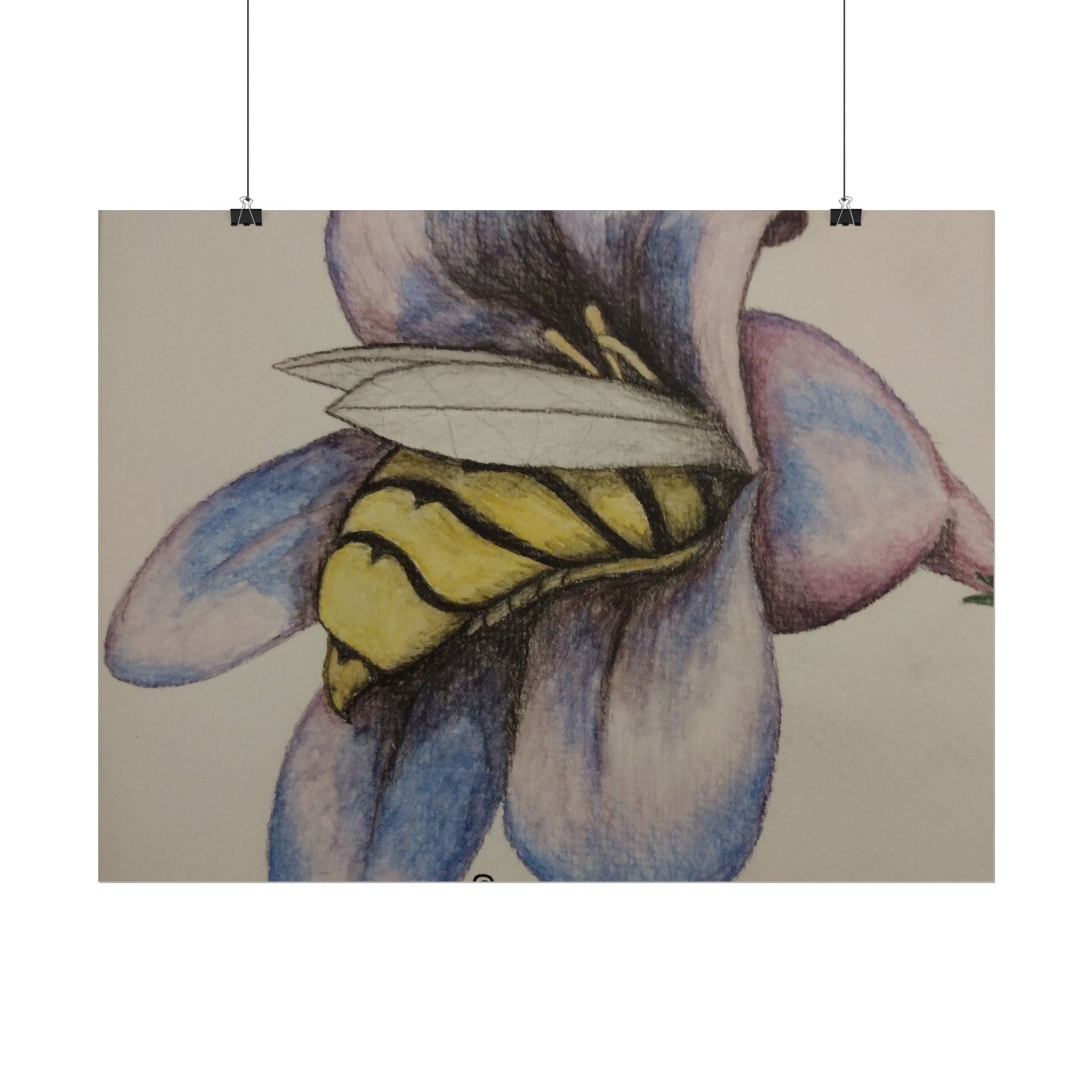 Bee in Blue Flower Poster — Rolled Botanical Art Print