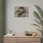 Bee in Blue Flower Poster — Rolled Botanical Art Print