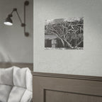 Black & White Rustic Vine Photography Poster — Rolled Wall Art