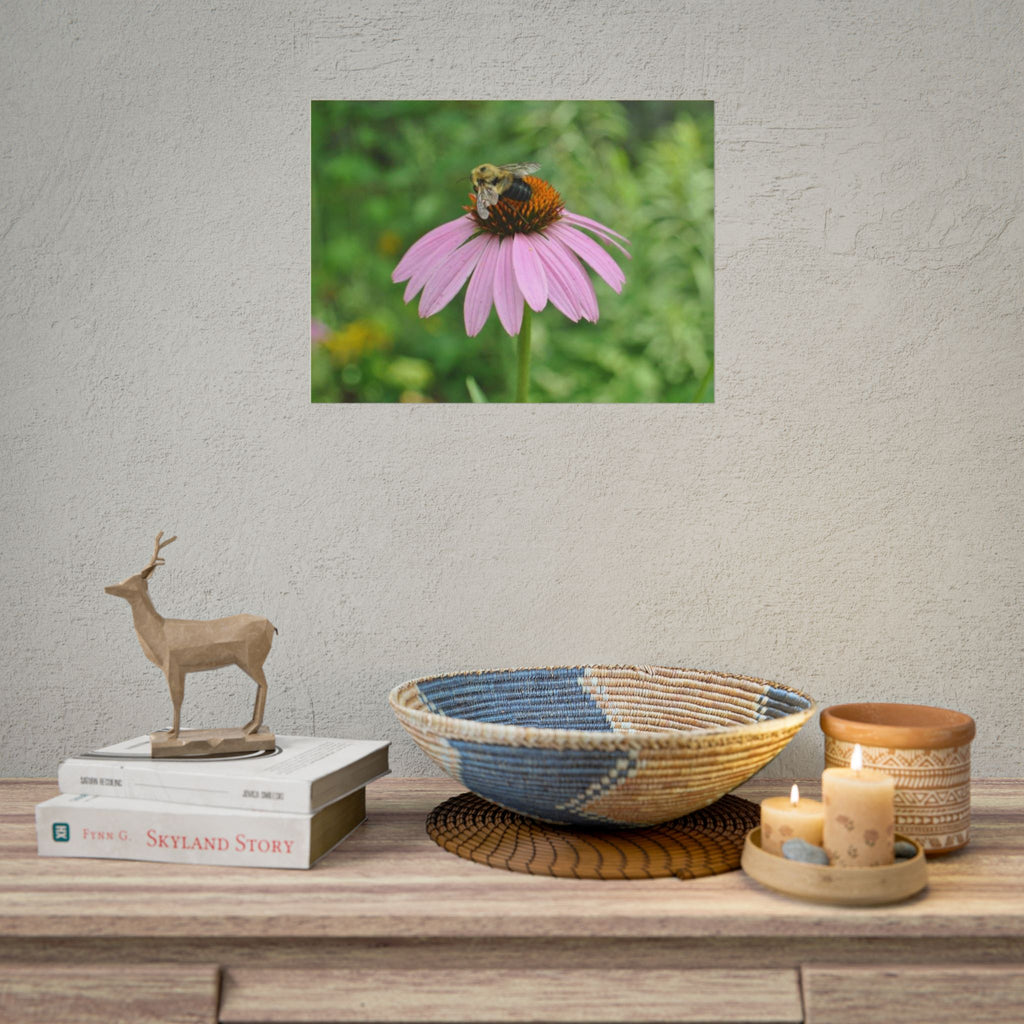 Bee on Pink Coneflower Rolled Poster — Nature Photography Wall Art