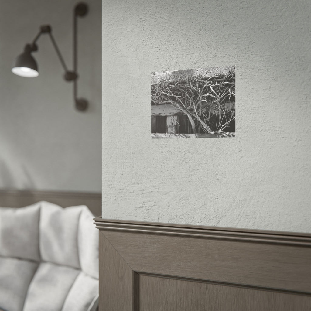 Black & White Rustic Vine Photography Poster — Rolled Wall Art