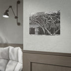 Black & White Rustic Vine Photography Poster — Rolled Wall Art