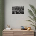 Black & White Rustic Vine Photography Poster — Rolled Wall Art